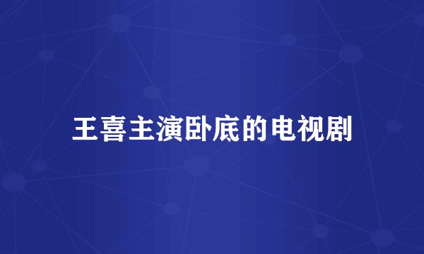 王喜主演卧底的电视剧