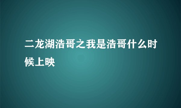 二龙湖浩哥之我是浩哥什么时候上映