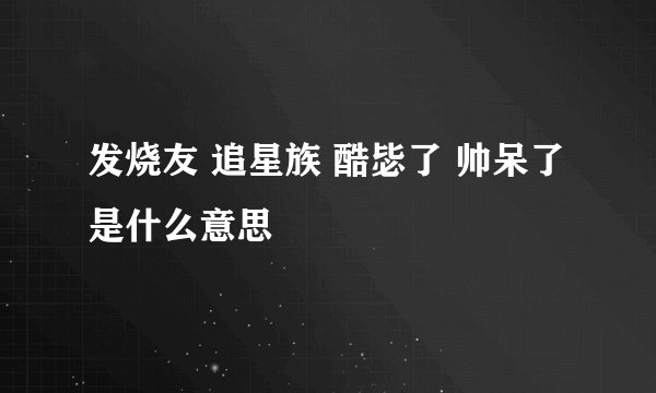 发烧友 追星族 酷毖了 帅呆了是什么意思