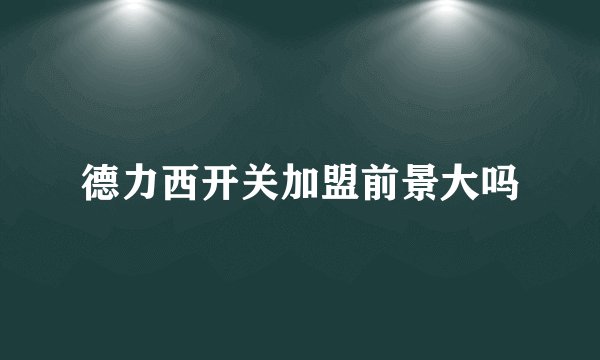 德力西开关加盟前景大吗
