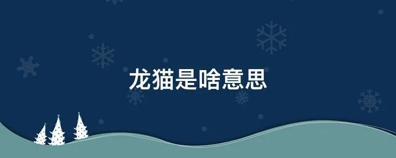龙猫是啥意思