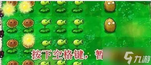 《植物大战僵尸》秘籍怎么输入 秘籍大全