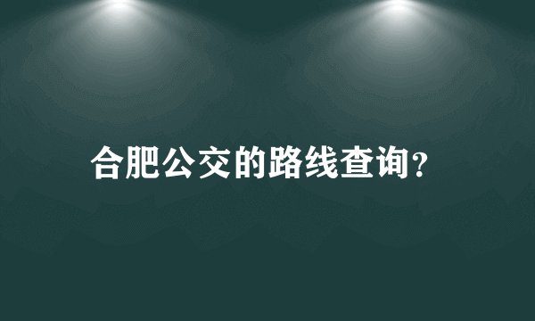 合肥公交的路线查询？