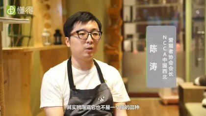 什么是玳瑁猫（图文）