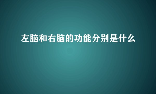 左脑和右脑的功能分别是什么