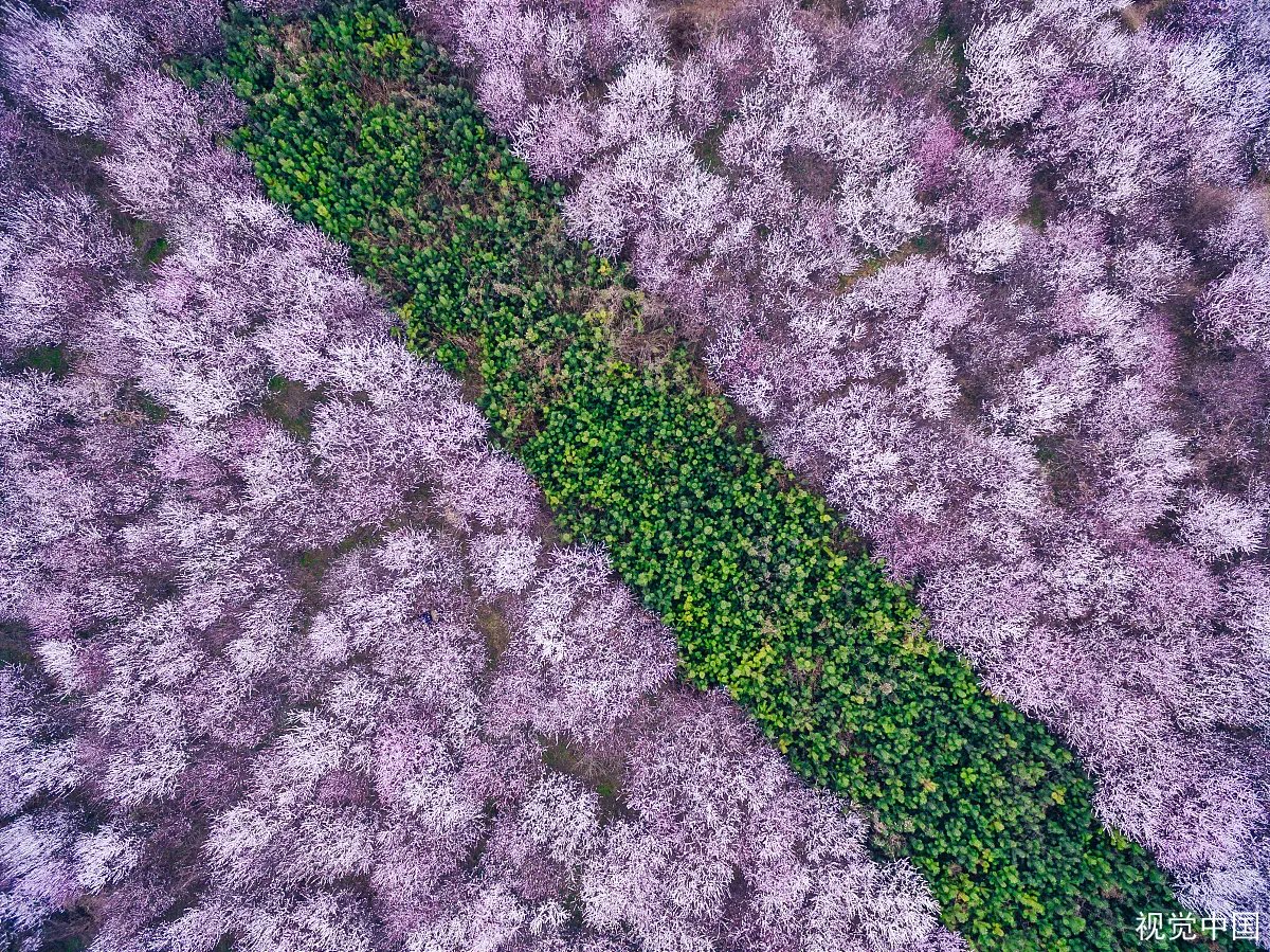 西安明秦王墓
