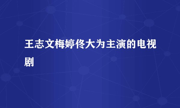 王志文梅婷佟大为主演的电视剧