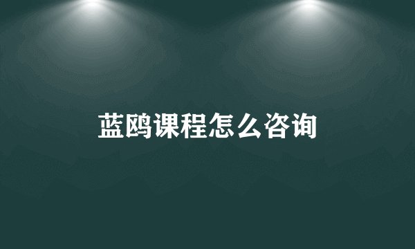 蓝鸥课程怎么咨询