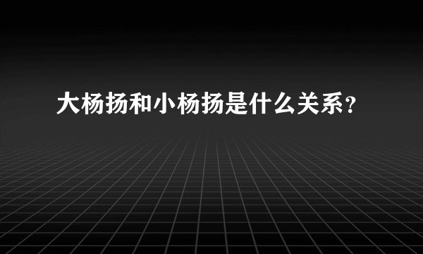 大杨扬和小杨扬是什么关系？