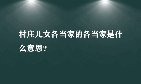 村庄儿女各当家的各当家是什么意思？