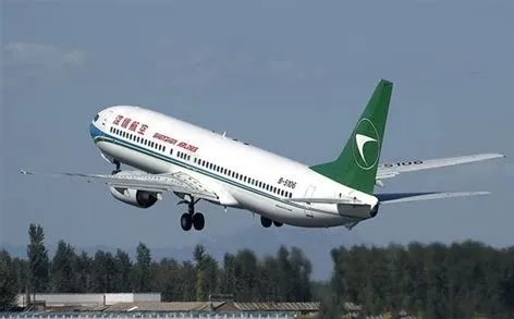 中国11家航空公司向波音提出索赔,你认为能得到赔偿吗?