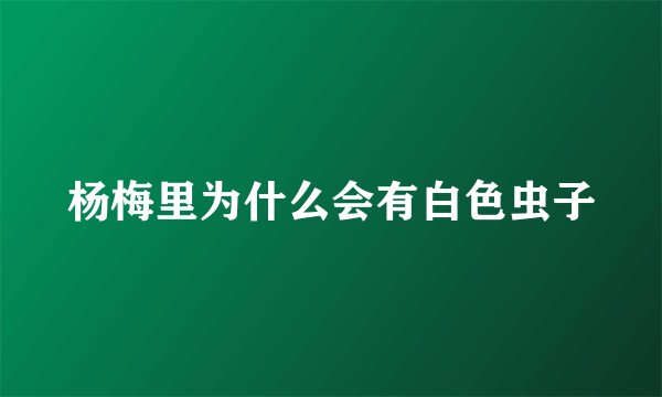杨梅里为什么会有白色虫子