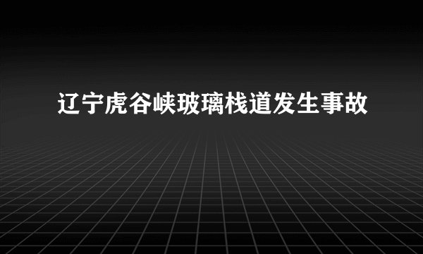 辽宁虎谷峡玻璃栈道发生事故