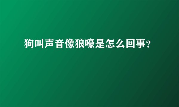 狗叫声音像狼嚎是怎么回事？