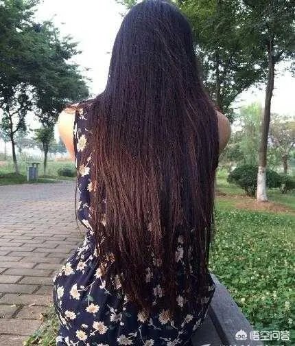上海女出纳挪千万公款打赏女主播被捕,你怎么看这件事?