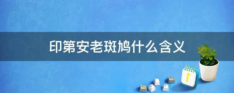 印第安老斑鸠什么含义