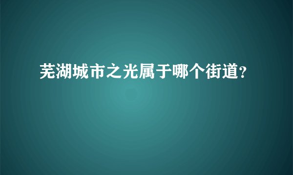 芜湖城市之光属于哪个街道？