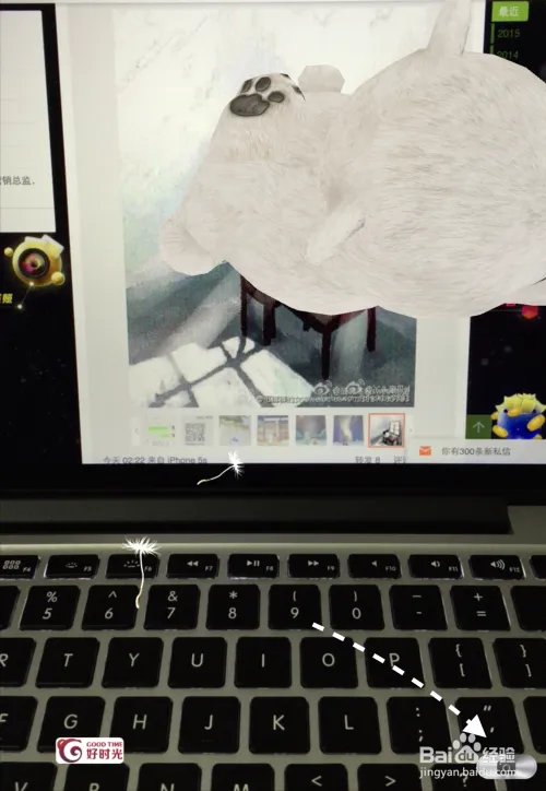奇幻咔咔App在哪里下载,奇幻咔咔怎么用?