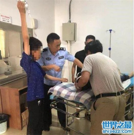 游客遭野象攻击,是去旅游还是去送命