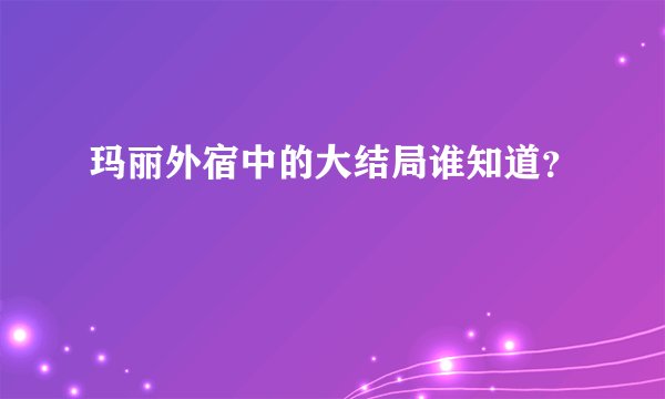 玛丽外宿中的大结局谁知道？