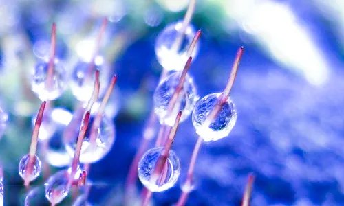 2019早安心语12月你好正能量句子_12月你好个性签名大全