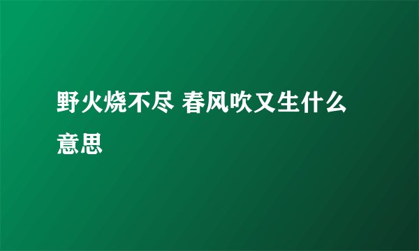野火烧不尽 春风吹又生什么意思