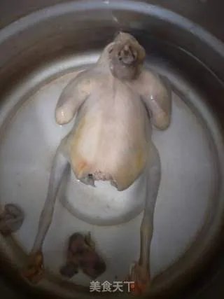 鸽子汤