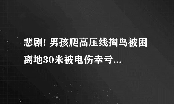悲剧! 男孩爬高压线掏鸟被困 离地30米被电伤幸亏被消防顺利救下