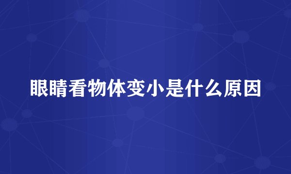 眼睛看物体变小是什么原因