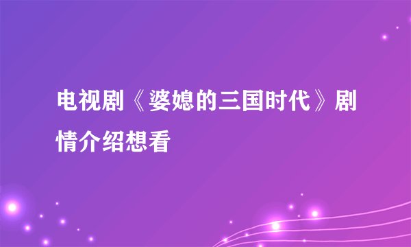 电视剧《婆媳的三国时代》剧情介绍想看