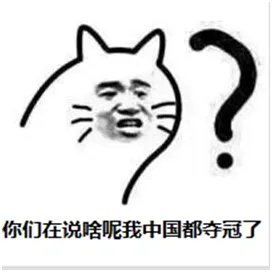 世界杯了 如何看球才算是安排得明明白白?