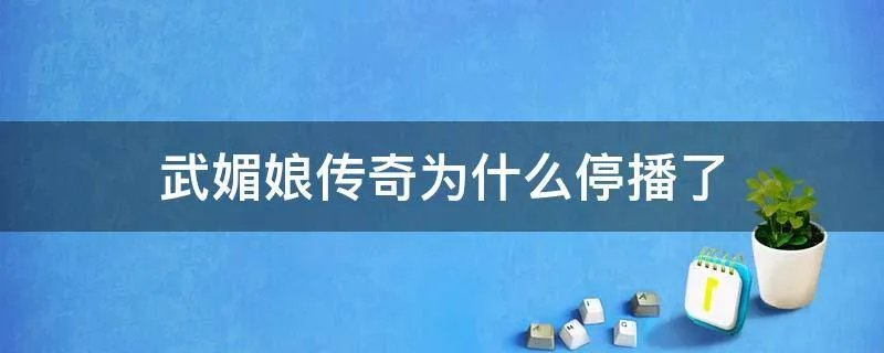 武媚娘传奇为什么停播了