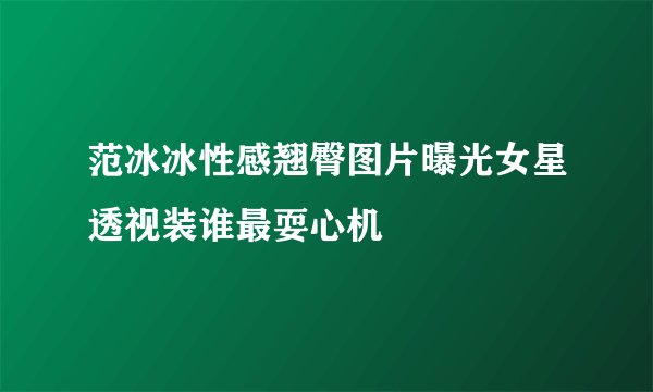 范冰冰性感翘臀图片曝光女星透视装谁最耍心机