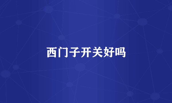 西门子开关好吗