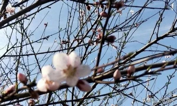 明天立春,你知道立春有哪些忌讳吗?