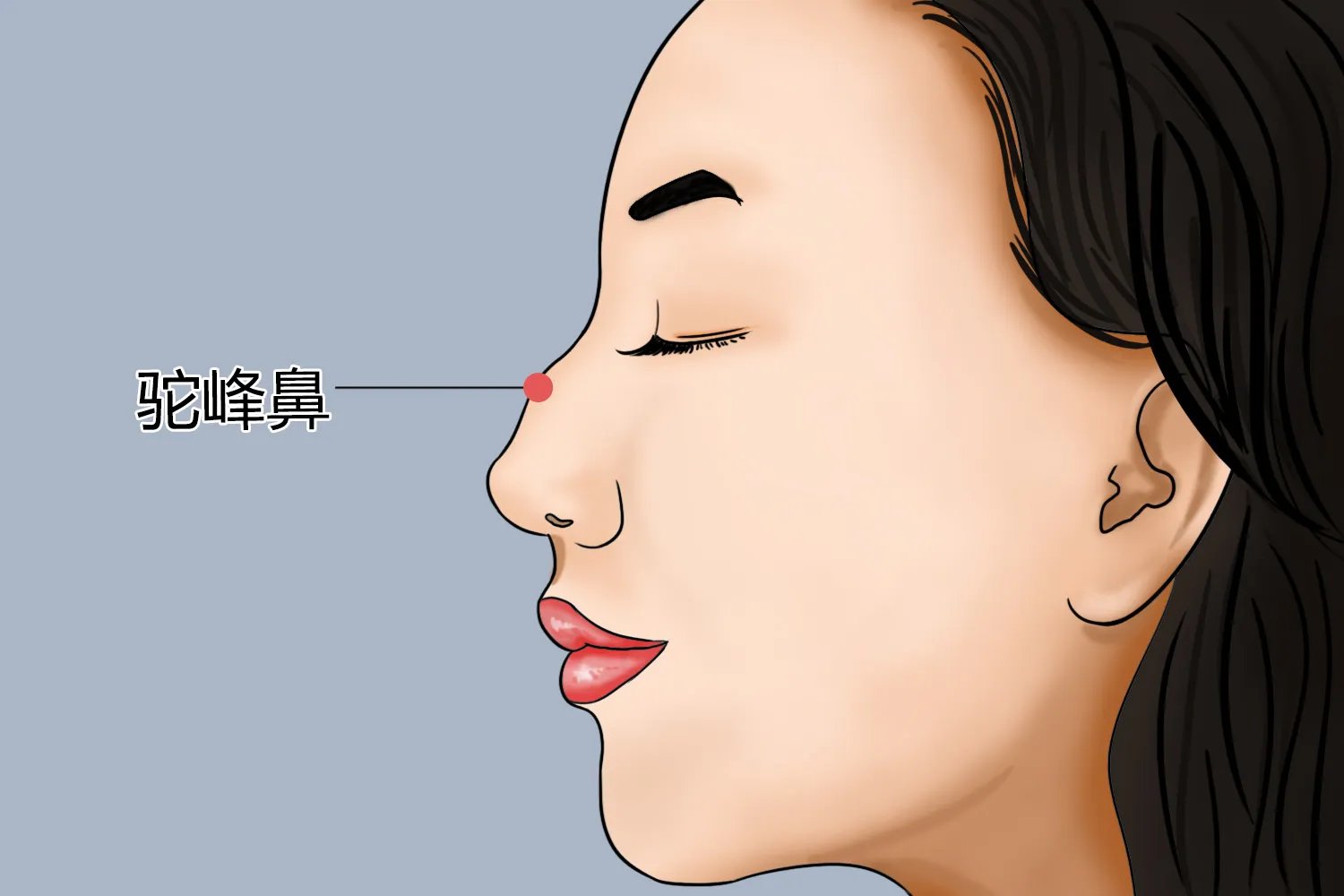 鼻子形状及图片大全