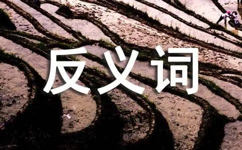 抽象的反义词
