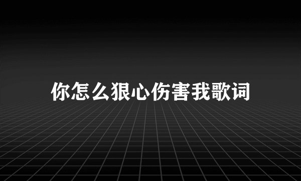 你怎么狠心伤害我歌词