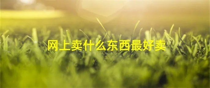 网上卖什么东西最好卖