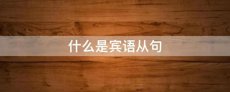 什么是宾语从句