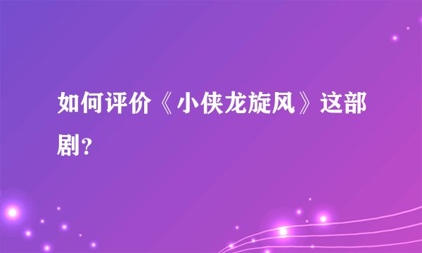 如何评价《小侠龙旋风》这部剧？