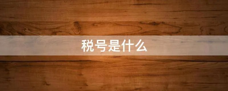 税号是什么