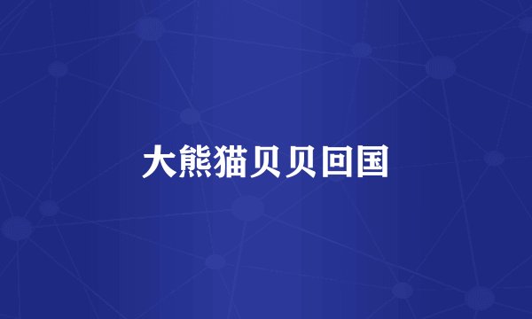 大熊猫贝贝回国
