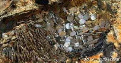 中国传说最大秘密宝藏