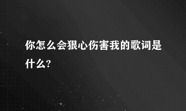 你怎么会狠心伤害我的歌词是什么?
