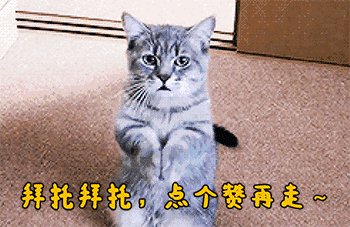 21年中国油价为什么这么高