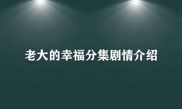 老大的幸福分集剧情介绍