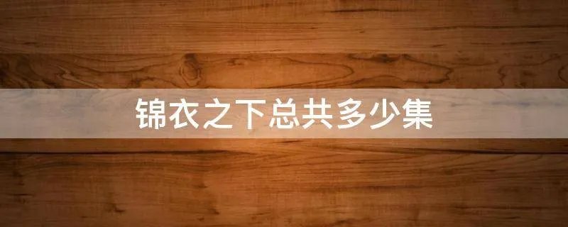 锦衣之下总共多少集