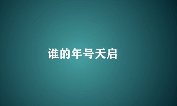 谁的年号天启﹖