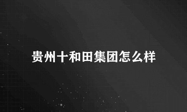 贵州十和田集团怎么样